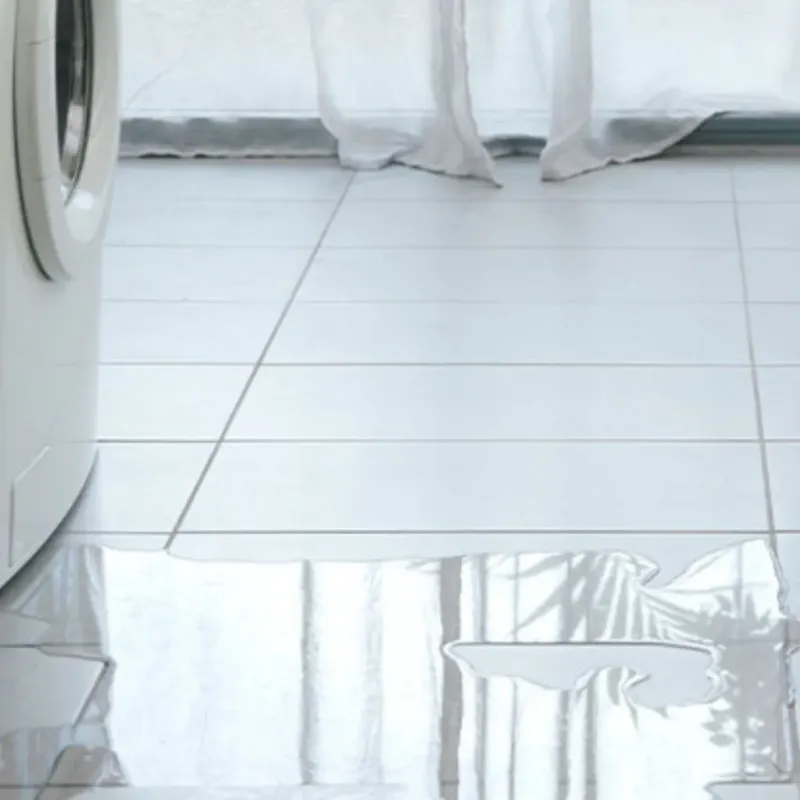Appliance Leak Cleanup in Auburn, AL